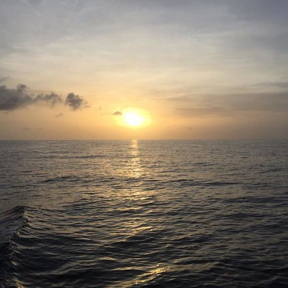 Meet your Posher, Nancy - Picture 1 of 1